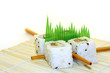 roll sushi structured over white