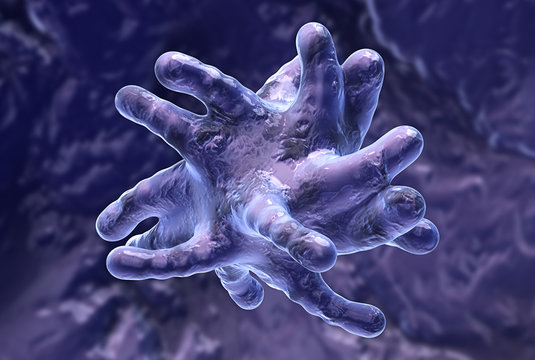 germ