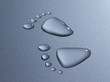 water footprint