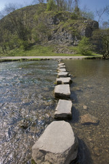 Wall Mural - stepping stones across river