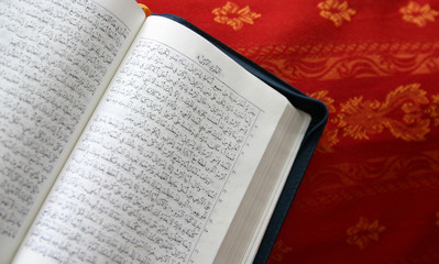 arabic bible