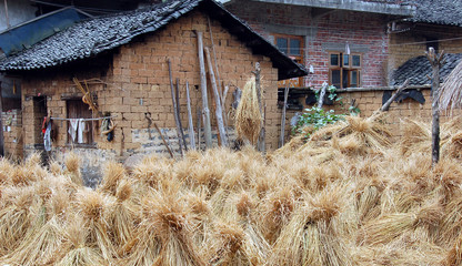 inner court yard of a house in china 4