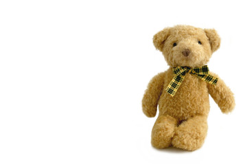 teddy bear
