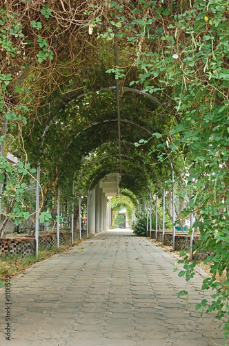 Obraz na płótnie canvas Pergola chodnik