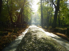 The Main Road Of A Smolensk Lutheran Cemetery