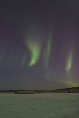Wall Mural - sporadic aurora in the sky