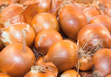 Bulb Onion