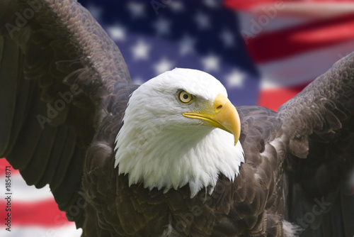 Obraz na płótnie canvas dwuczęściowy "dyptyk" American eagle z flagą