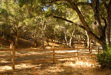 Fence Along A Road In The Carmel Valley Of California
