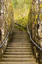 Staircase In Moss