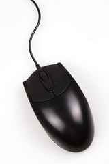 computer mouse