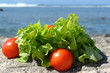 © M.studio - tomate et salade