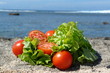 © M.studio - salade et tomate fond lagon