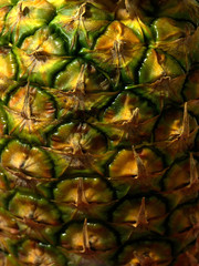 Wall Mural - pineapple skin