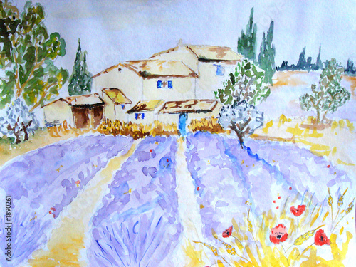 Obraz w ramie aquarelle d'un champ de lavande
