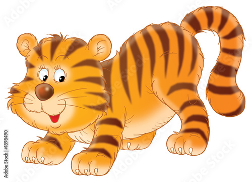 Jalousie-Rollo - tiger (von Alexey Bannykh)