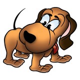 dog andy