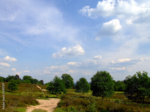 Plakat na papierze fotorealistycznym Wahner heide