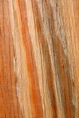 Wall Mural - wood stripes