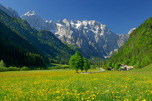 Spring In Alpine Valley In Northern Slovenia