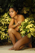 © NorthShoreSurfPhotos - sexy asian girl