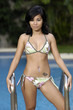 © NorthShoreSurfPhotos - sexy asian girl at pool