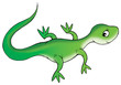 Leinwandbild Motiv green lizard