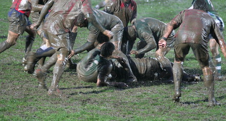 Canvas Print - rugby