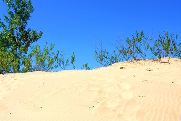 Poster - sand dunes