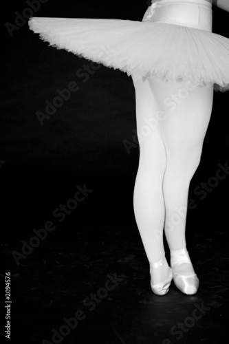 Plakat na papierze fotorealistycznym Balerina