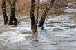 © John Sandoy - flooding