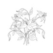 Leinwandbild Motiv bouquet of flowers in black and white colors, vector illustratio