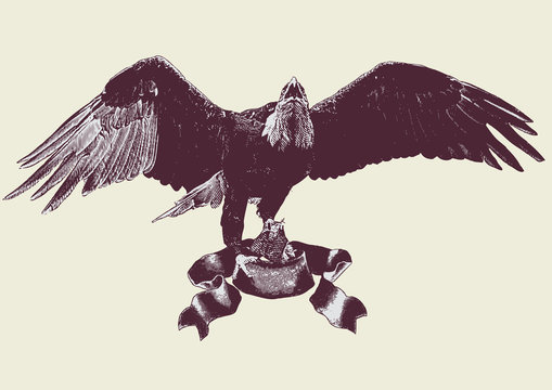 eagle