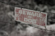 faded beware of dog sign