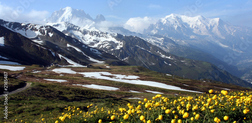 Nowoczesny obraz na płótnie aiguille verte, mont blanc, flore jaune - im'py