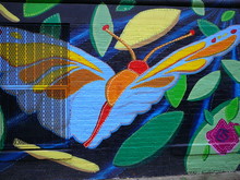Colorful Community Mural Of Butterfly