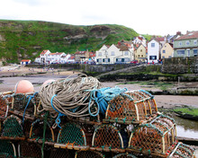 Lobsters In Staithes