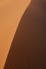 Wall Mural - sahara desert