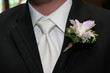 © Paul Retherford - tux, shirt, tie, coat, jacket, flower, boutonniere