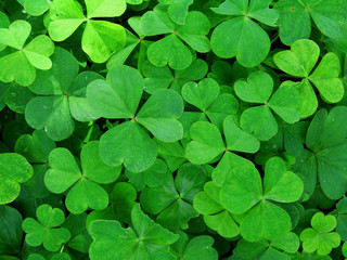  st. patrick's day background