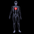 skeleton x-ray valentine heart 1