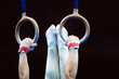 gymnastics rings 004