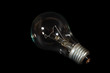 © frog - black light bulb