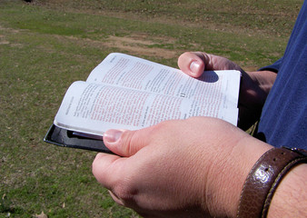 reading the word