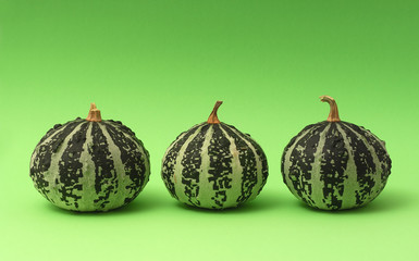 Wall Mural - three pumpkins on green background