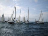 Fototapeta  - veleros en regata