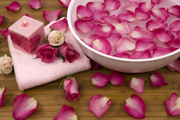 Wall Mural - rose petals