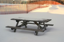 Frozen Table