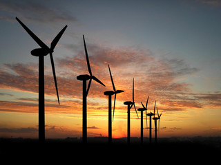 Wall Mural - wind generators