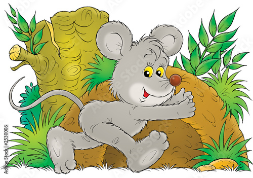 Jalousie-Rollo - mouse (von Alexey Bannykh)